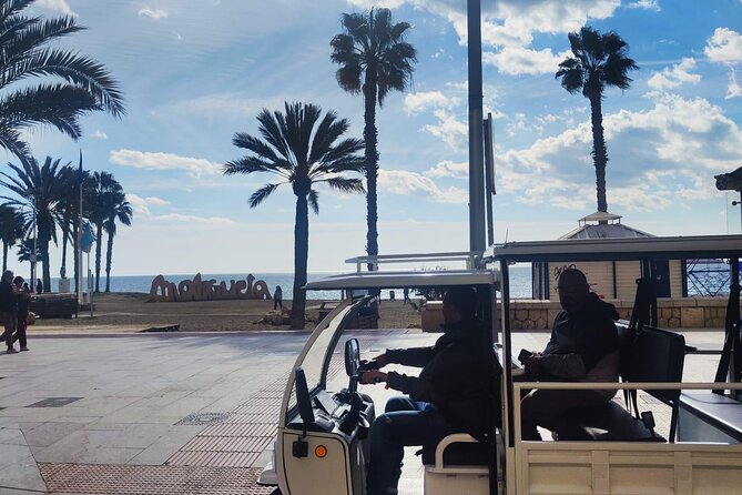 Explore Malaga by TukTuki : Essentials and Private Tour - Customer Reviews