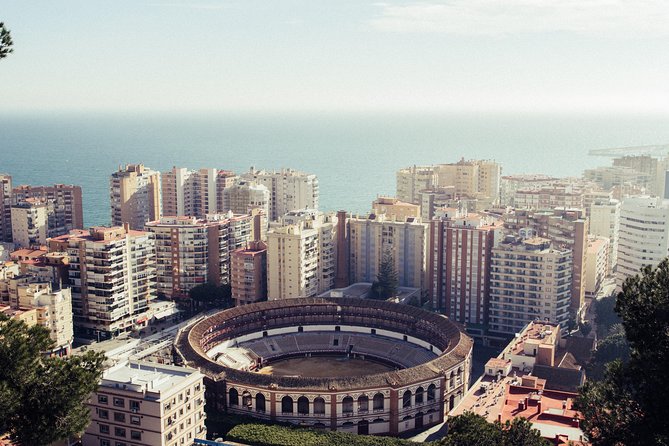 Explore Malaga in 60 Minutes With a Local - Local Insights and Tips