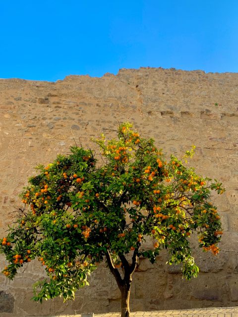 Explore Marbella Old Town: Authentic Tapas Food Tour - Inclusions and Exclusions