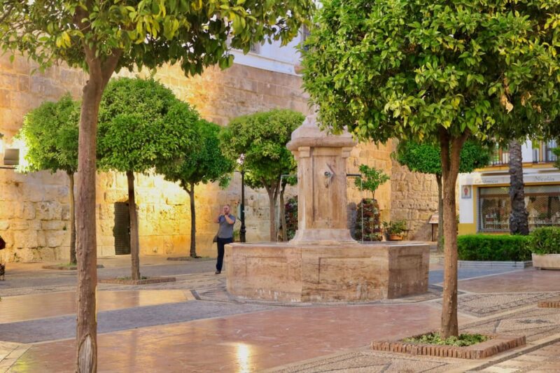 Explore Marbella Old Town: Guided Walking Tour With A Local - Inclusions