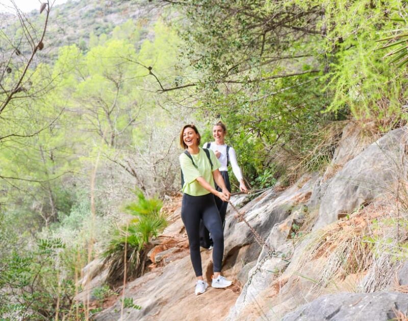 Explore Marbellas Nature: Guided Hiking And Foraging Trip - Key Points
