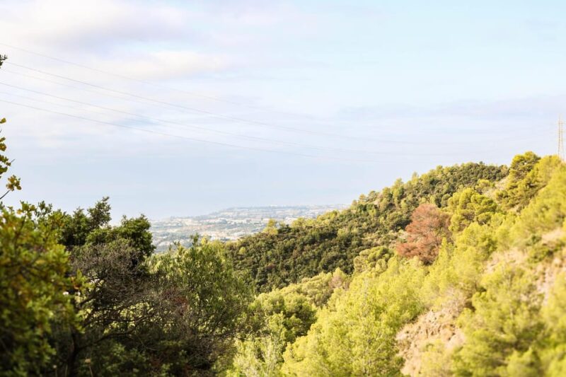 Explore Marbellas Nature: Guided Hiking And Foraging Trip - Participant Requirements
