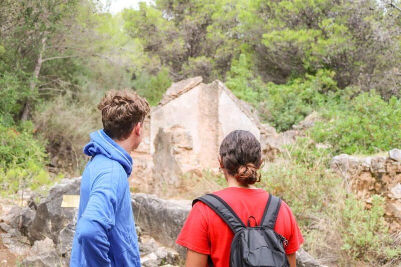 Explore Marbellas Nature: Guided Hiking And Foraging Trip - Discovering Edible Herbs and Foraging Basics