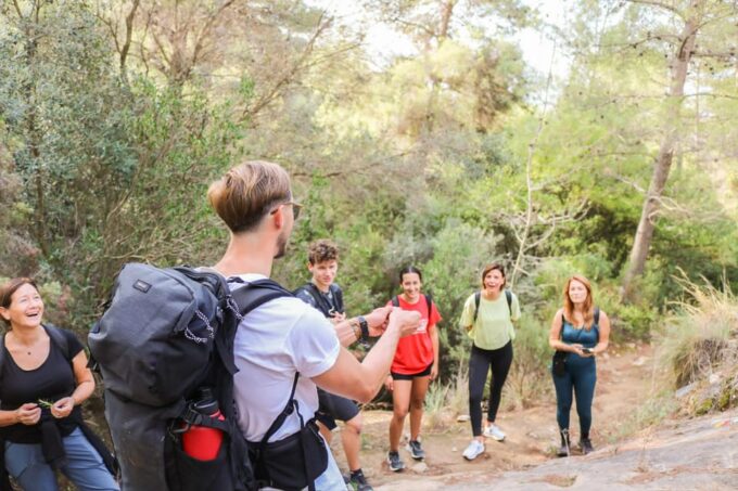 Explore Marbellas Nature: Guided Hiking And Foraging Trip - Exploring the Ruins of an Ancient Hermitage