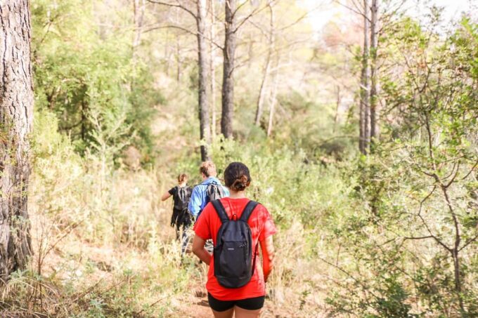 Explore Marbellas Nature: Guided Hiking And Foraging Trip - Enjoying a Picnic With Stunning Views