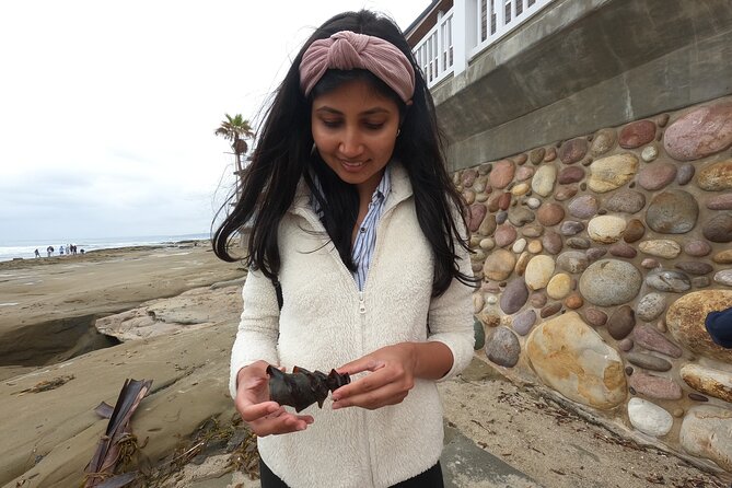 Explore Marine Life in San Diego Tide Pools - Safe and Knowledgeable Guides