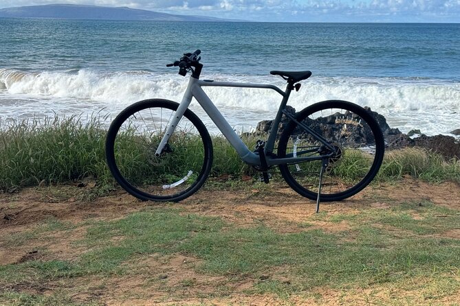 Explore Maui on an Electric Bike or Scooter - Choosing Your Ride: Electric Bike vs. Scooter