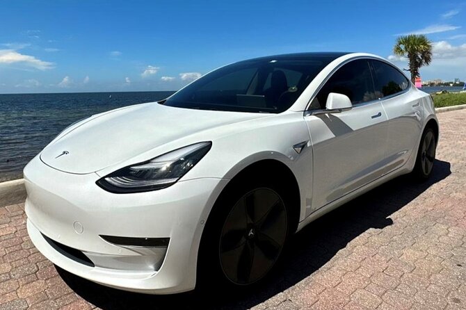 Explore Miami With a Private Driver - Meeting and End Points