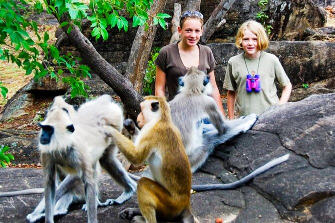 Explore Monkey Kingdom Review: A Unique Experience - Unique Features