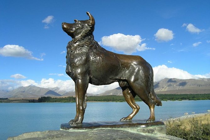 Explore Mount Cook From Christchurch - Participant Experience