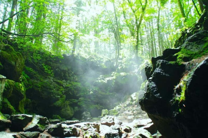 Explore Mount Fuji: Private Tour with English Guide - Analyzing the Value