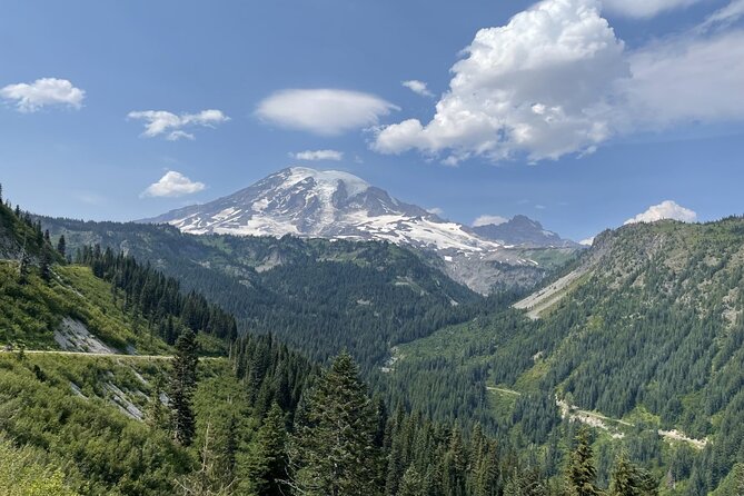 Explore Mt. Rainier National Park With a Local Guide - Hiking Among Sequoias
