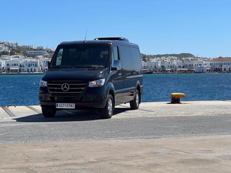 Explore Mykonos in Style With a Luxury Mini Van Tour - Accessibility and Meeting Point