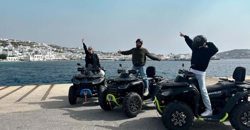 Explore Mykonos Island With a 650CC ATV / QUAD Tour - Tour Highlights and Itinerary