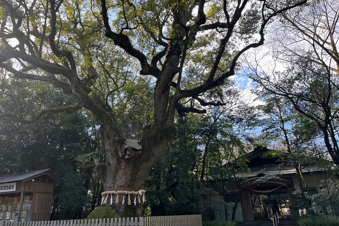 Explore Nagoya : Private Customizable Tour - Accessibility and Participation