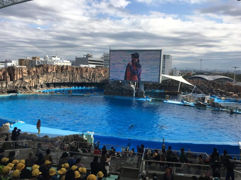 Explore Nagoya: Your Ultimate PRIVATE One-Day Adventure - Exploring the Nagoya Aquarium