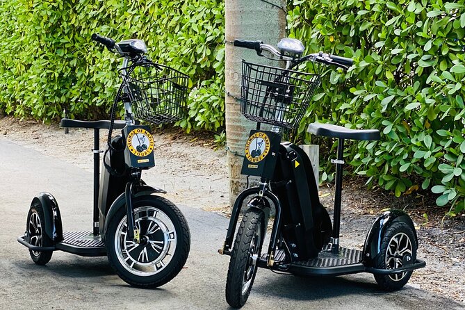 Explore Naples on a Guided Segway Tour - Panoramic Views From the Waterfront