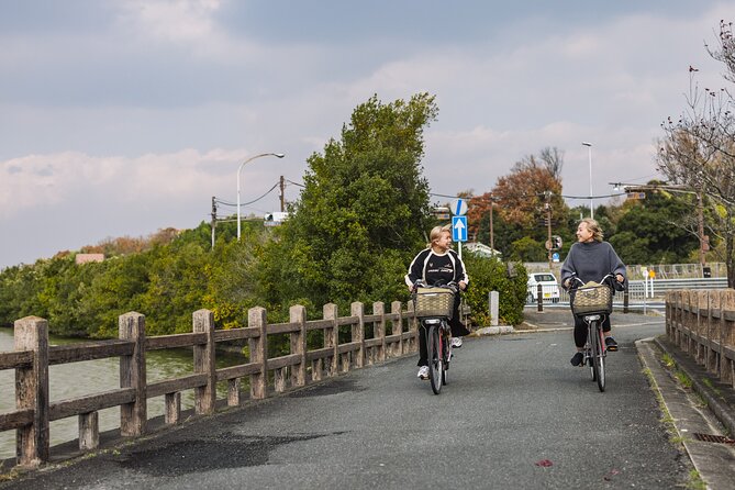 Explore Nara the Birthplace of the Country With E-Bike - Electric Bike Experience