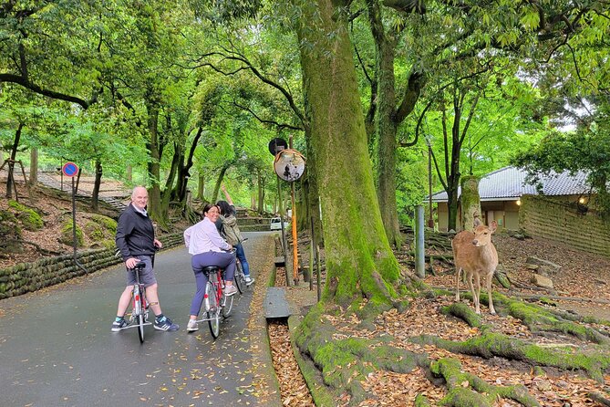 Explore Nara the Birthplace of the Country With E-Bike - Kintetsu Nara Station Arrival
