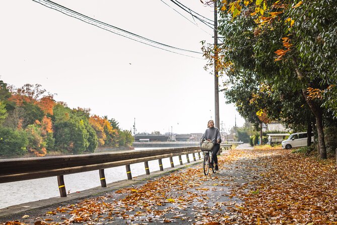Explore Nara the Birthplace of the Country With E-Bike - Traveler Requirements and Considerations
