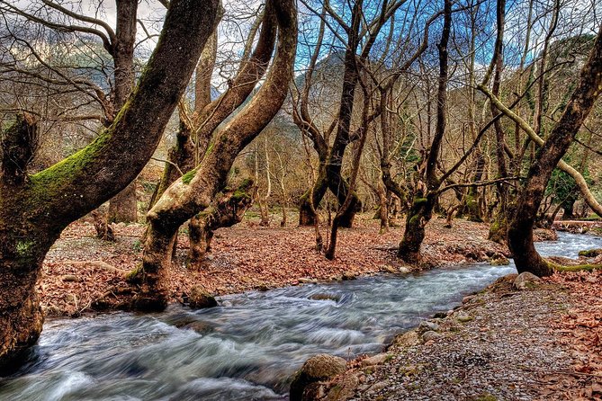 Explore Nature & History in Kalavryta - Captivating Cave of the Lakes