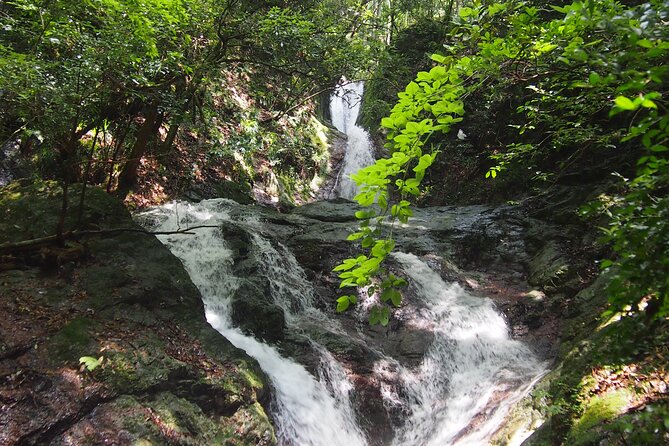 Explore Nature in Yoshino With E-Bike Tour - Meeting Point and Pickup