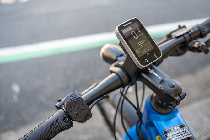 Explore Nature in Yoshino With E-Bike Tour - Stunning Natural Landscapes
