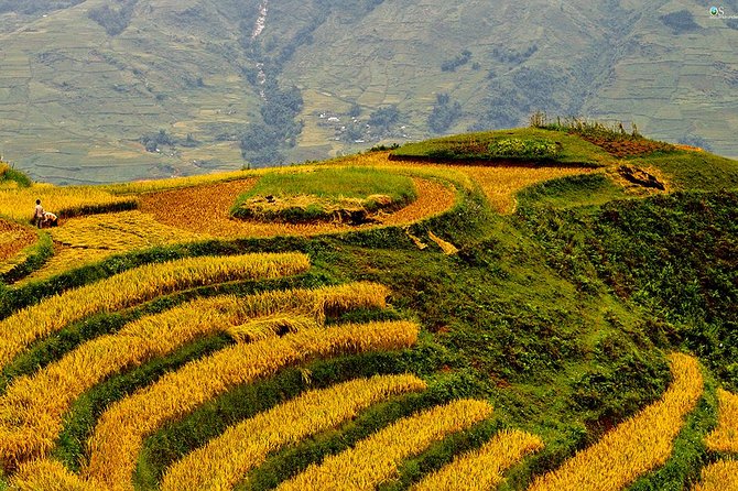 Explore Nature View And Homestay Experience - Meeting and Pickup Details