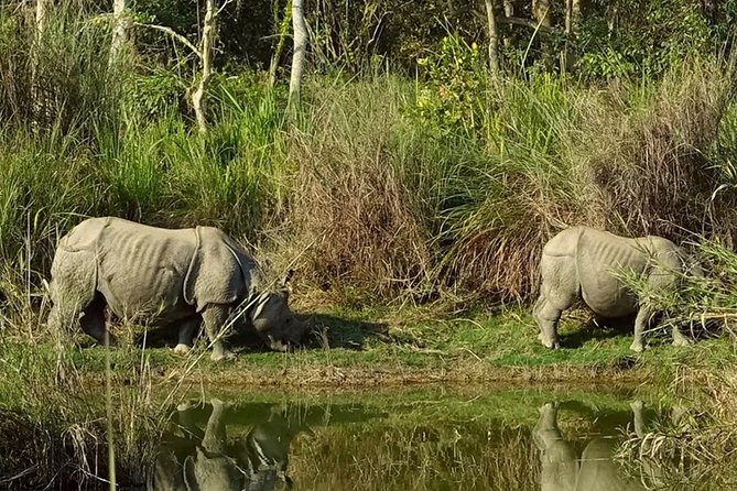 Explore Nepal In A Week – 7 Days - Accommodation and Meals