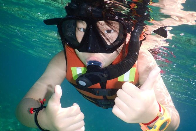 Explore Nha Trang Bay: Half-Day Snorkeling Adventure Tour - Meeting and Pickup