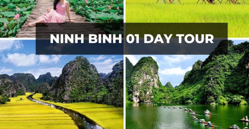 Explore Ninh Binh in 1 Day: Trang An, Mua Cave & Hoa Lu - Key Points