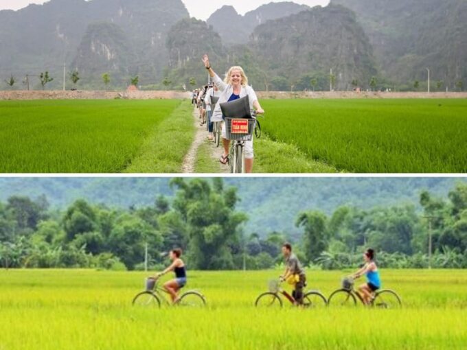 Explore Ninh Binh in 1 Day: Trang An, Mua Cave & Hoa Lu - Experience Highlights