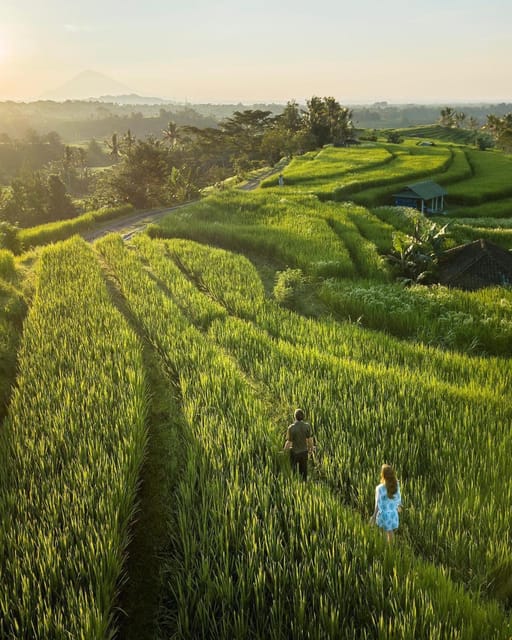 Explore North Bali: Bratan Temple, Waterfall & Rice Terrace - Key Points