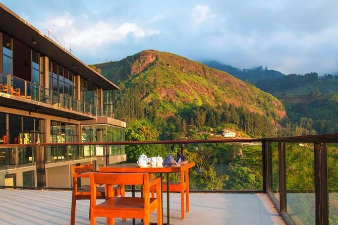 Explore Nuwara Eliya | Experience the Best Tea in the World - Pricing and Booking
