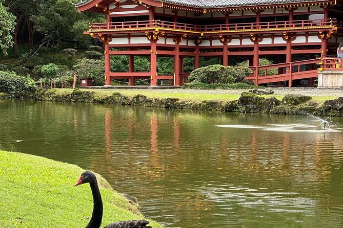 Explore O'Ahu Island With a Friendly Local in a Small Group - Customizable and Stress-Free Adventure