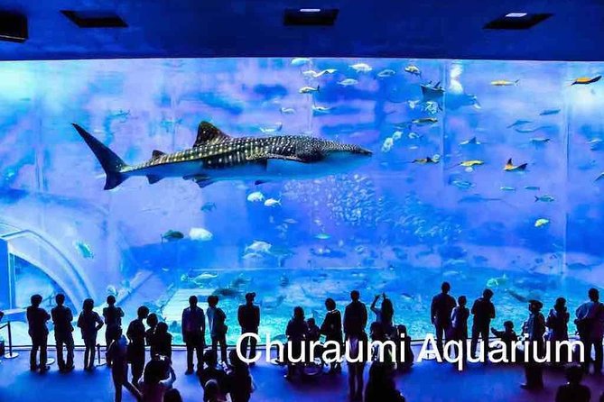 Explore Okinawa With Private Alphard Car Hire With Simple English Driver - Customizable Itinerary Options