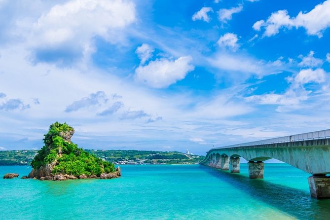 Explore Okinawa With Private Lexus Car Hire With Simple English Driver - Customizable Day-Trip With English Driver