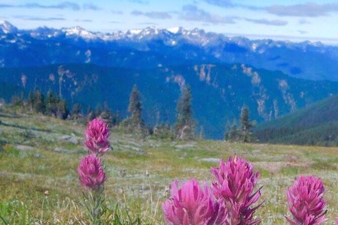 Explore Olympic National Park From Seattle Through Van /Ferry - Exploring Olympic National Park