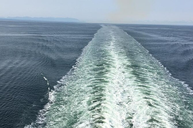 Explore Olympic National Park From Seattle Through Van /Ferry - Meeting and Pickup Options