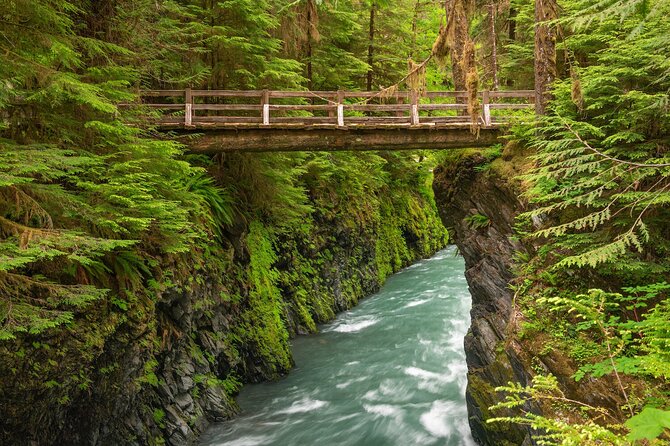 Explore Olympic National Park From Seattle Through Van /Ferry - Tour Pricing and Policies