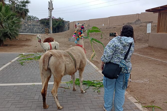 Explore Pachacamac Sanctuary and Its Pyramids - Exploring the Pyramids of Pachacamac