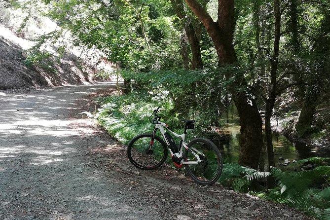 Explore Paphos Forest With E-Mountain Bikes - Accessing the Starting Point