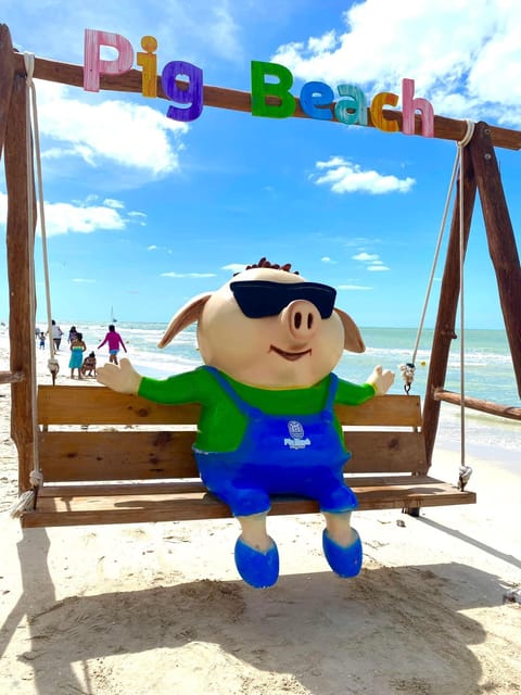 Explore Pig Beach, Corchito, Progreso & Isla Columpio - Frequently Asked Questions