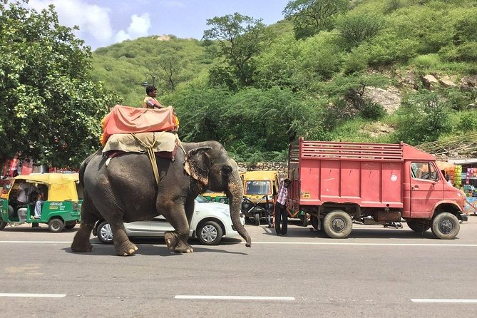 Explore Pink City Jaipur - Discovering Jal Mahal
