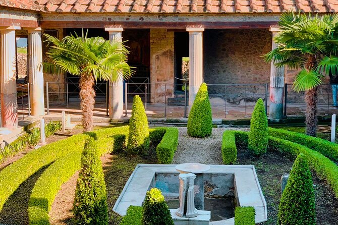 Explore Pompeiis Ruins With Your Private Archaeologist - Accessibility and Participation