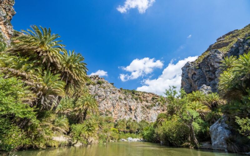 Explore Preveli Palms, Damnoni Beach & Historic Rethymno - Activities and Experiences