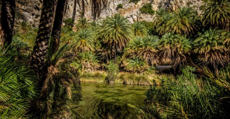Explore Preveli Palms, Damnoni Beach & Historic Rethymno - Pickup Locations