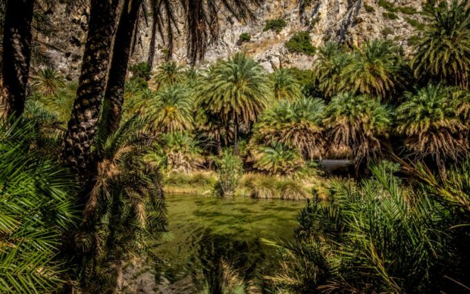 Explore Preveli Palms, Damnoni Beach & Historic Rethymno - Customer Feedback