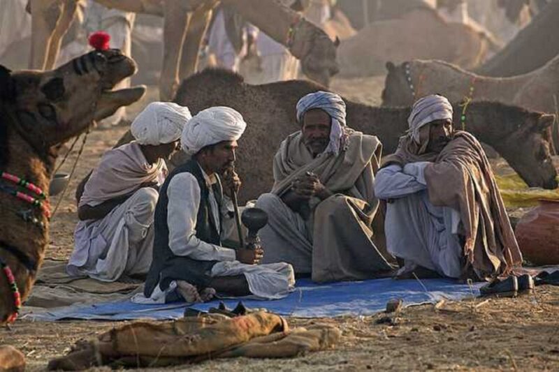 Explore Pushkar From Jaipur With Jodhpur Drop - Cultural Significance