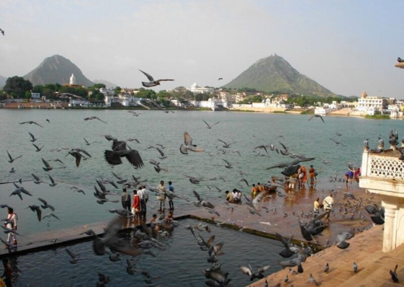 Explore Pushkar From Jaipur With Jodhpur Drop - Special Events